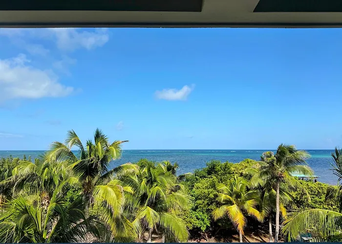 Hibisco Belize 4* San Pedro (Ambergris Caye)